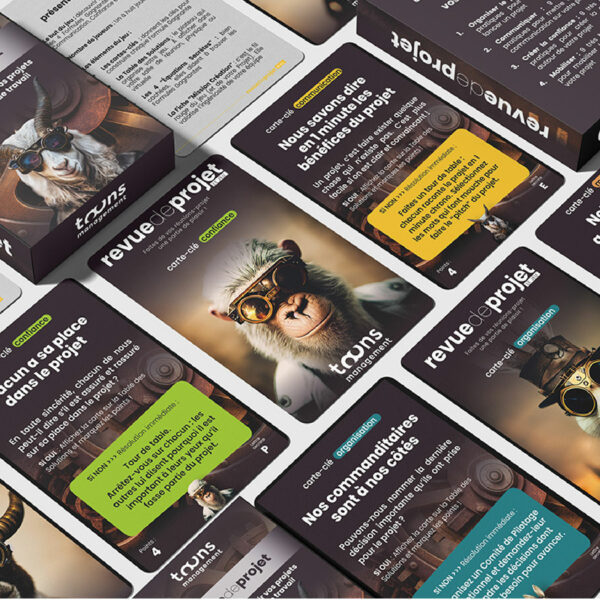 Revue de projet©, le jeu pour réussir vos projets – Image 12