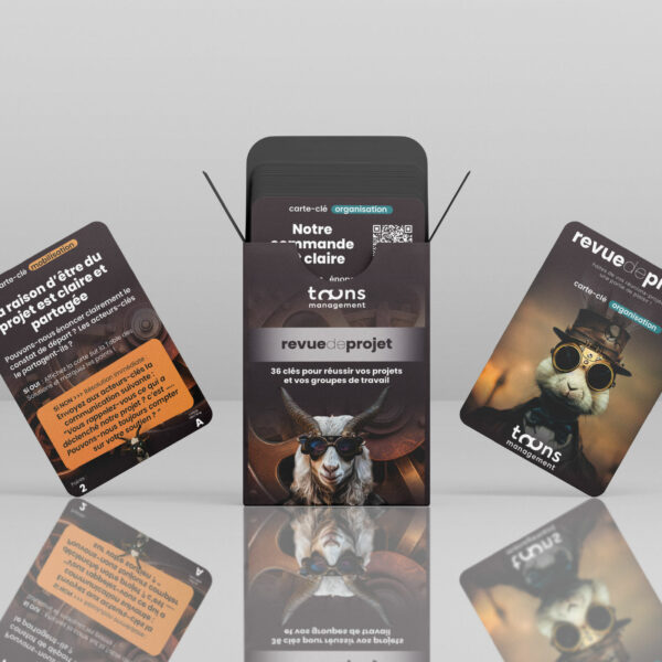 Revue de projet©, le jeu pour réussir vos projets – Image 4