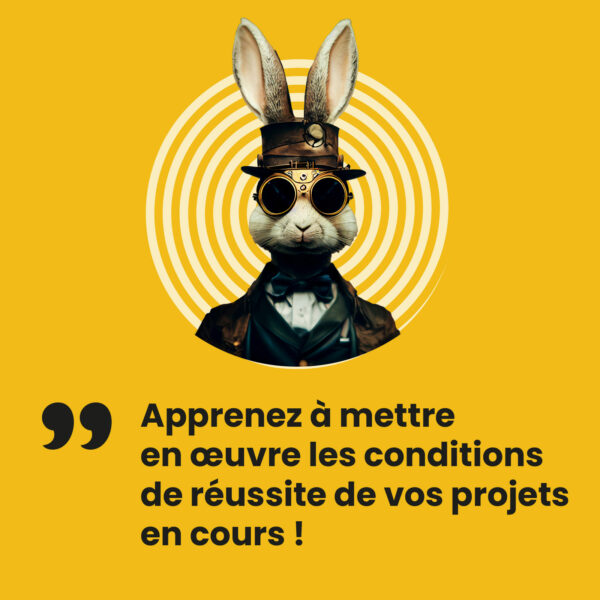 Revue de projet©, le jeu pour réussir vos projets – Image 2